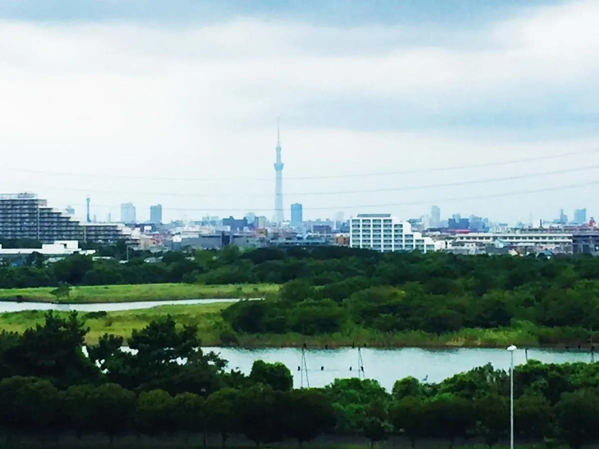 *** ホテル ナイスインホテル市川東京ベイ～舞浜まで電車6分～ 浦安市 日本